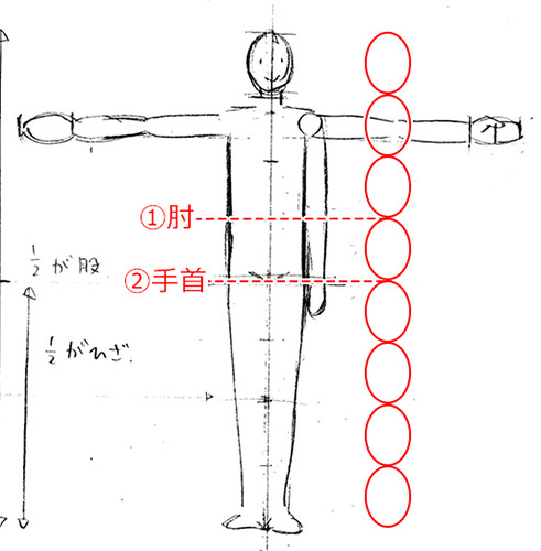 マンガの描き方 人体デッサンのポイントを学ぼう マナビジャーニー 3 By Clipstudioofficial Clip Studio Tips