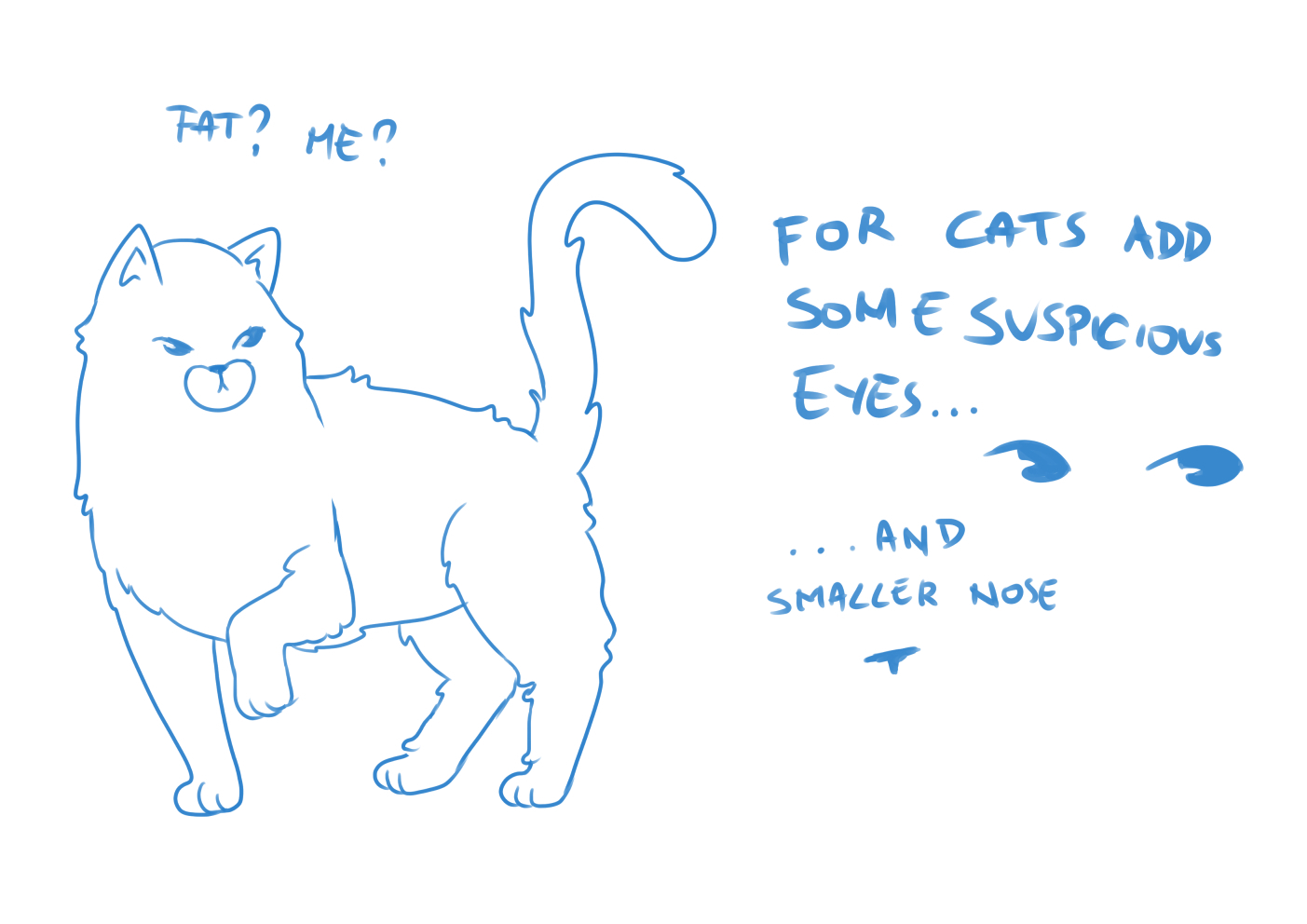 How To Draw A Fluffy Cat