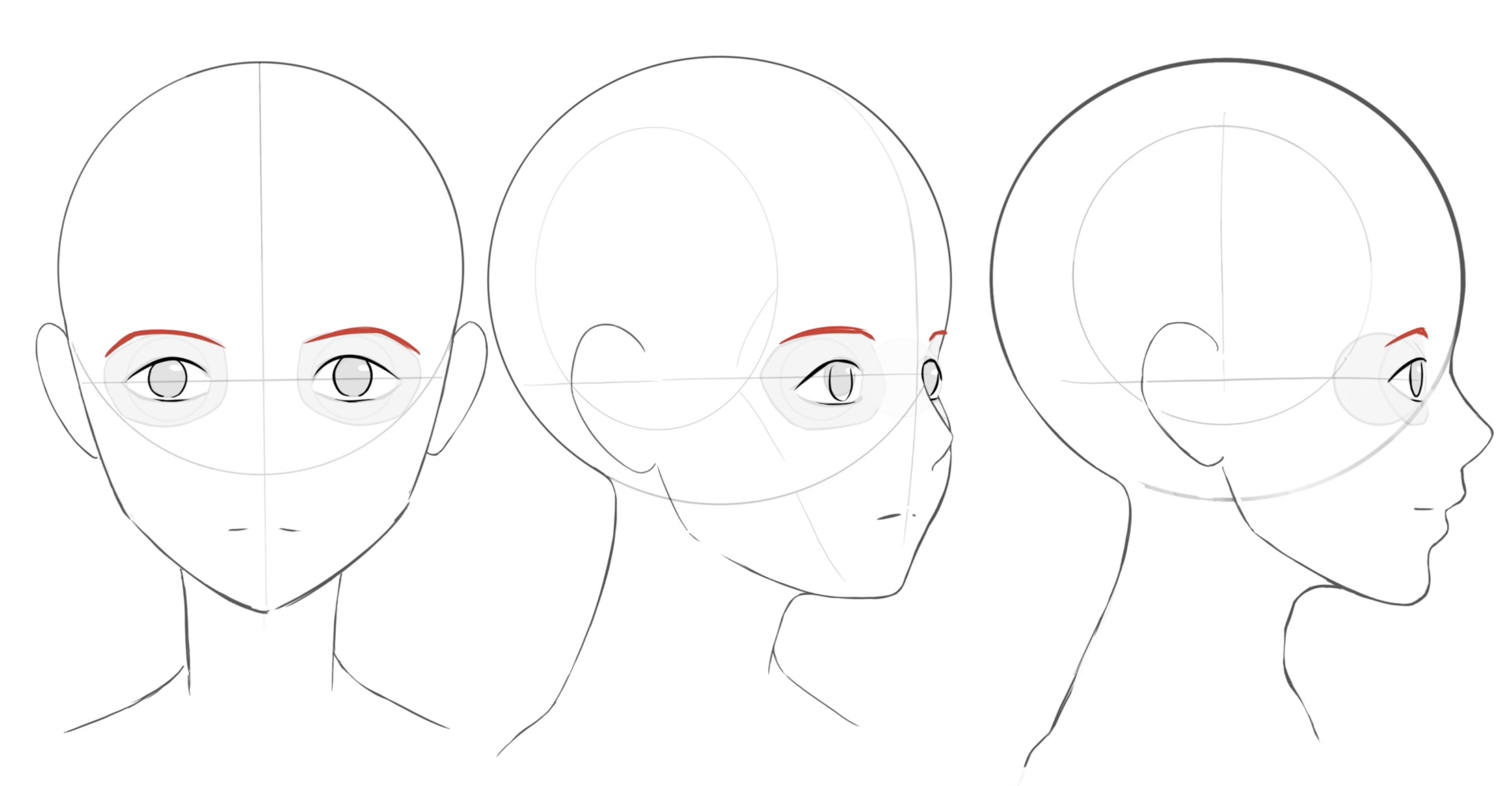 Drawing the head and face from every angle by JJWho - Make better