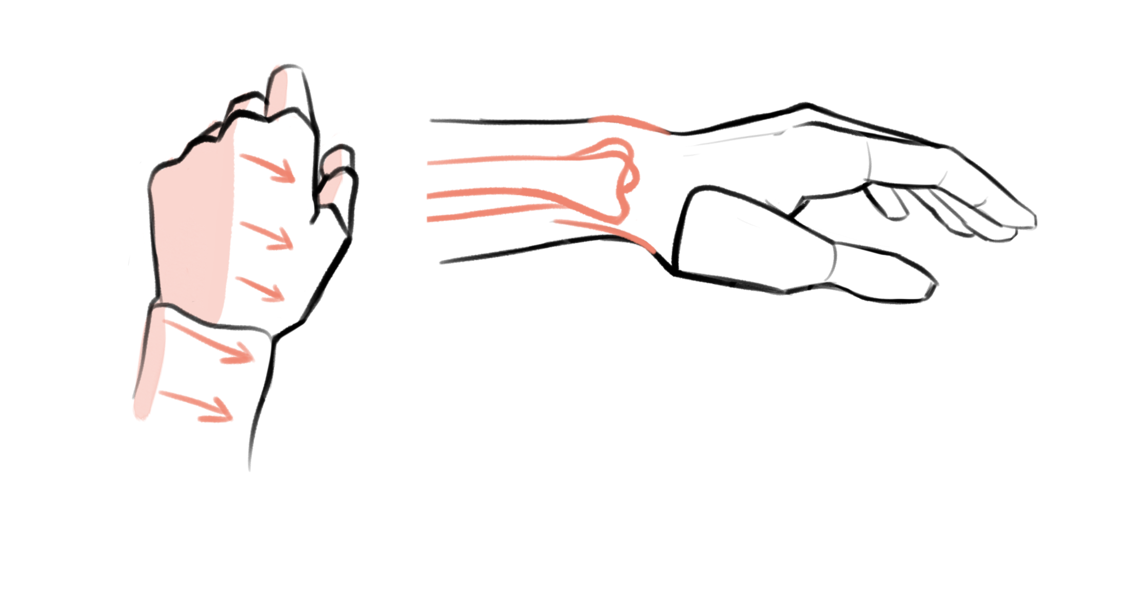 How to Draw Cupped Hands 