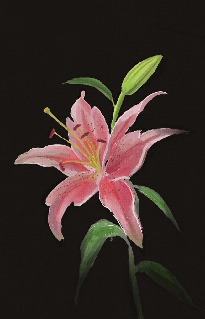 デジタルブラシで描く伝統的な花の絵 by lilyxxssi - お絵かきのコツ