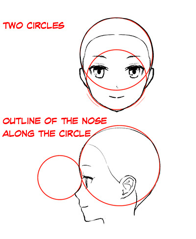 Featured image of post Small Button Nose Drawing