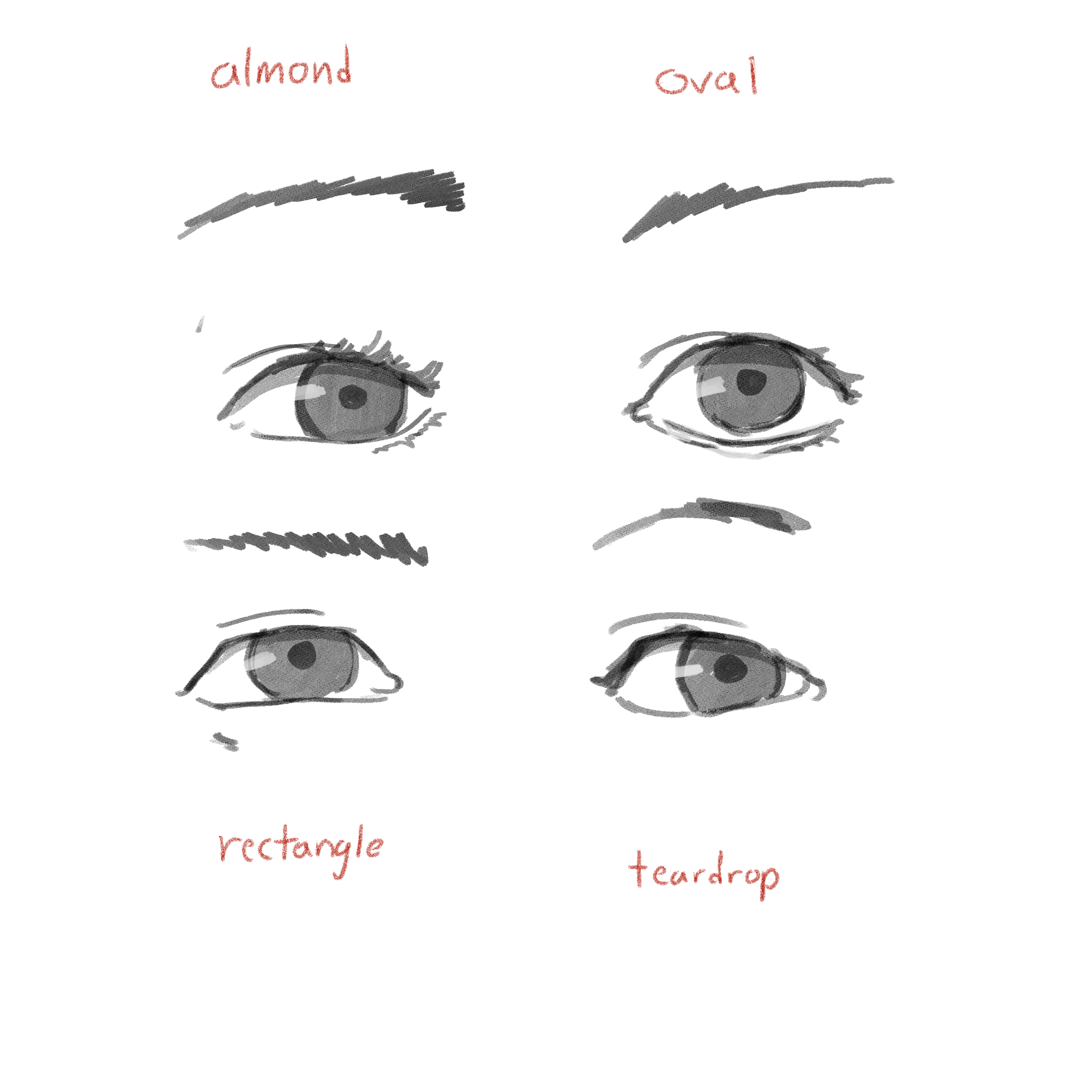 Anime chart, Cartoon eyes, Realistic eye drawing