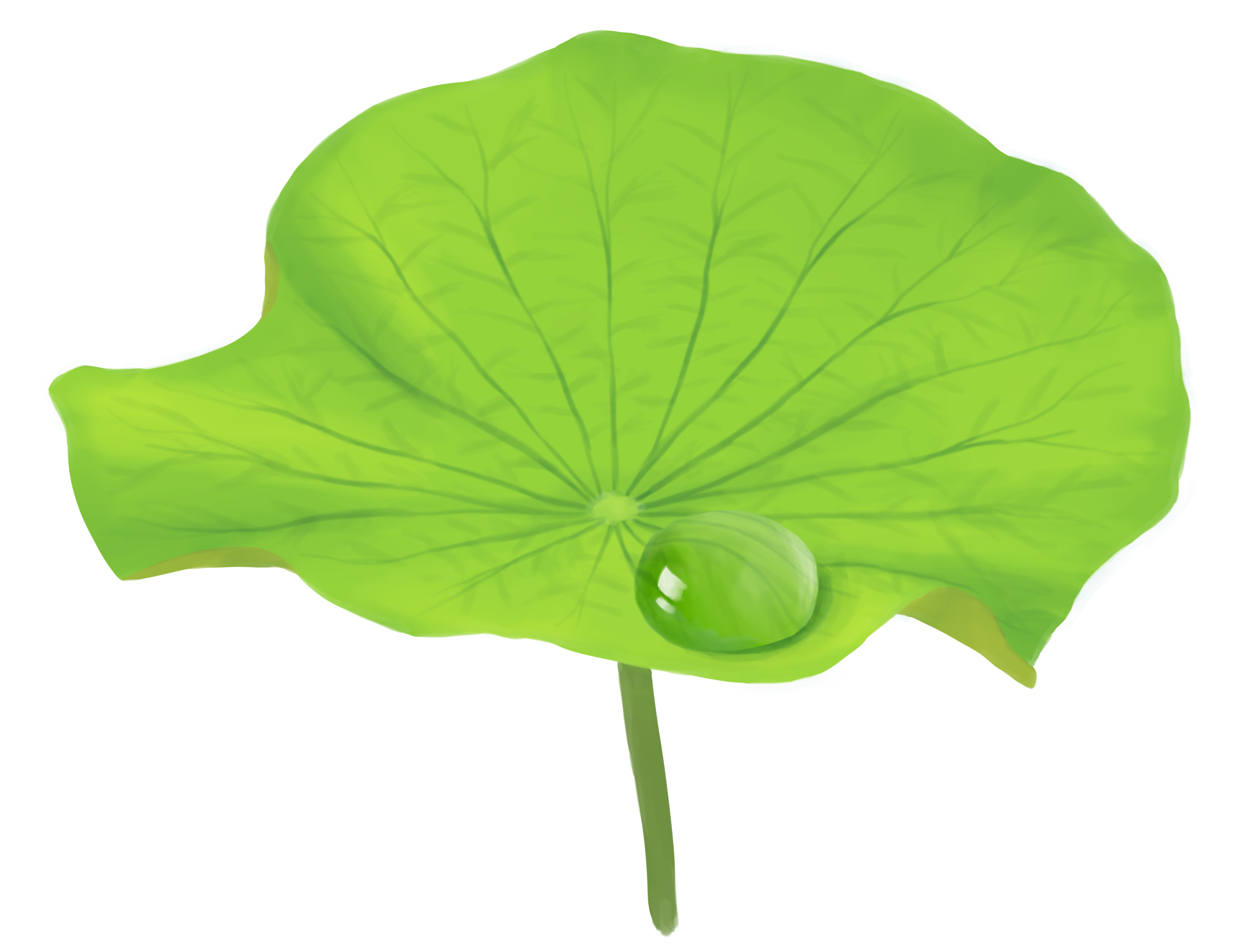 水滴と波紋の描き方 By Mink Tdr Clip Studio Tips