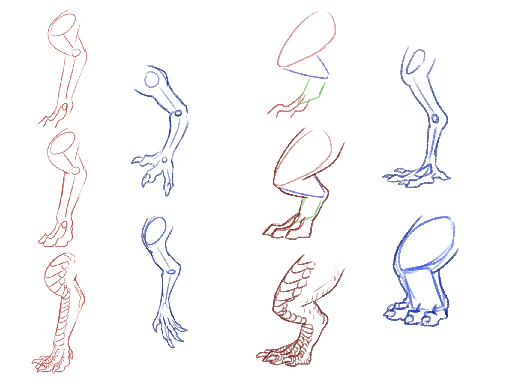 how to draw dragon legs