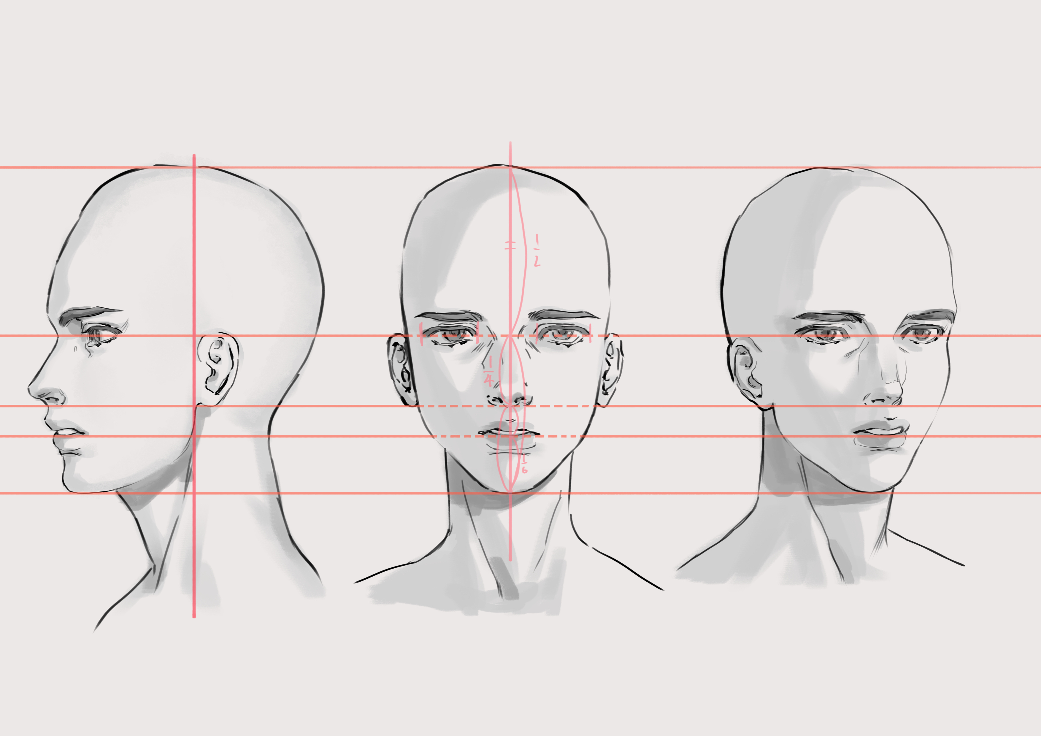 肖像画の構造と変化 By 黃碇鈞 Clip Studio Tips