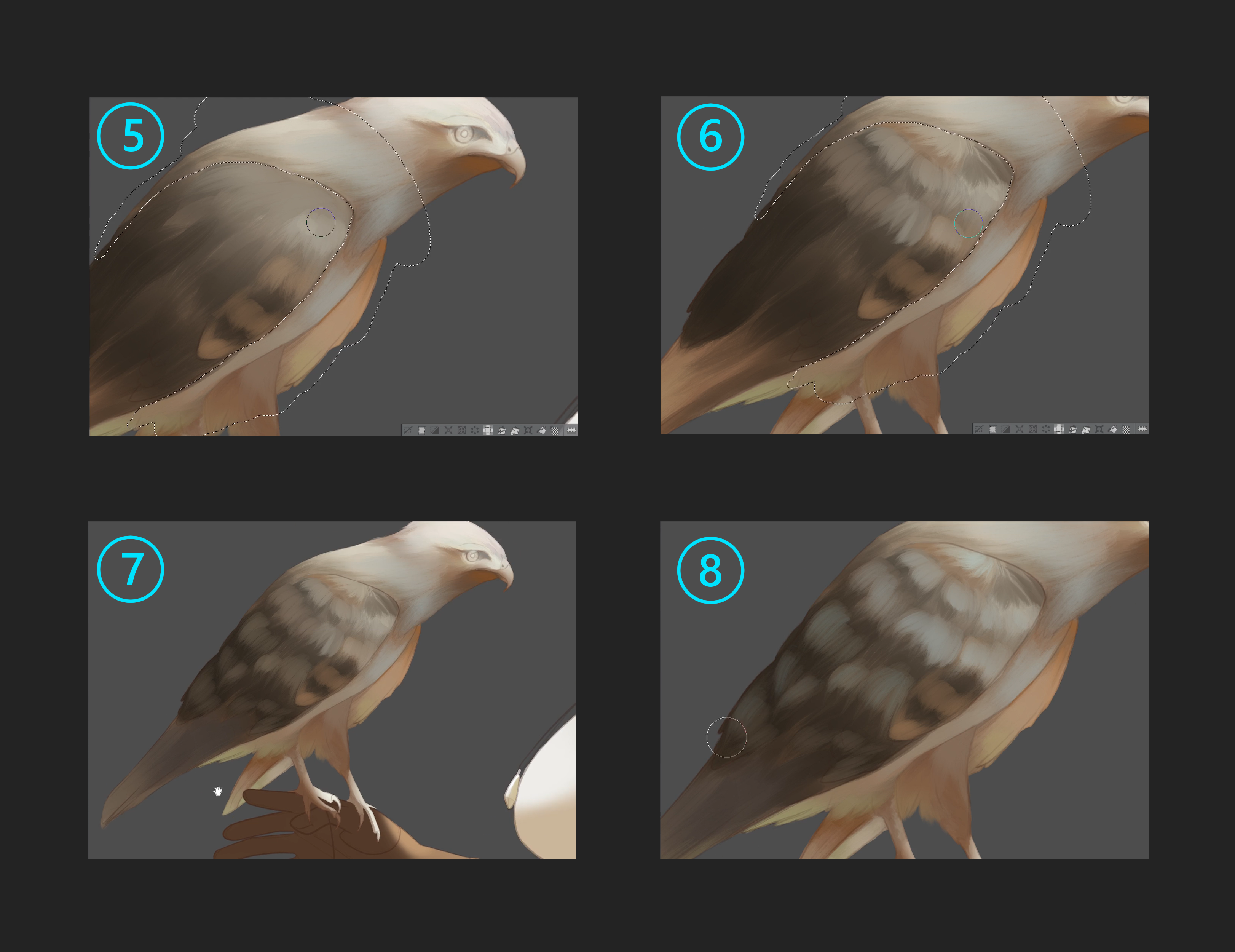 動物の王国を描く 鳥 By Wajiha Clip Studio Tips