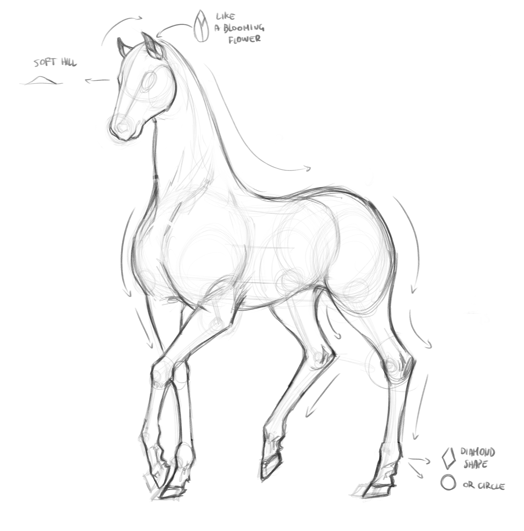 clip studio tips comment dessiner un cheval par akylha coloriage moto