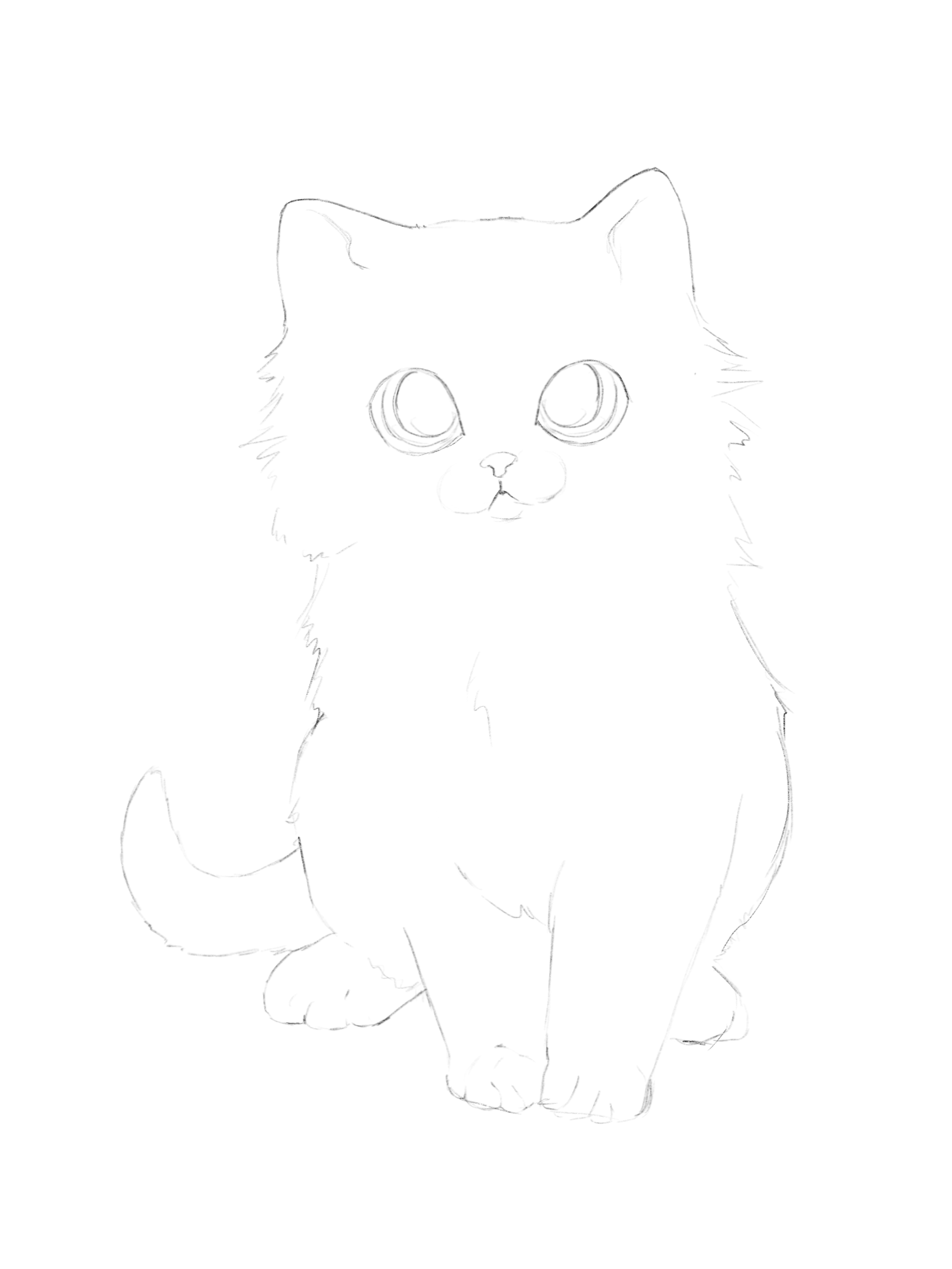 How To Draw A Anime Cat Step By Step