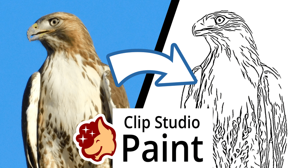 Installer Et Désinstaller Des Brosses Dans Clip Studio Paint – HALDAW