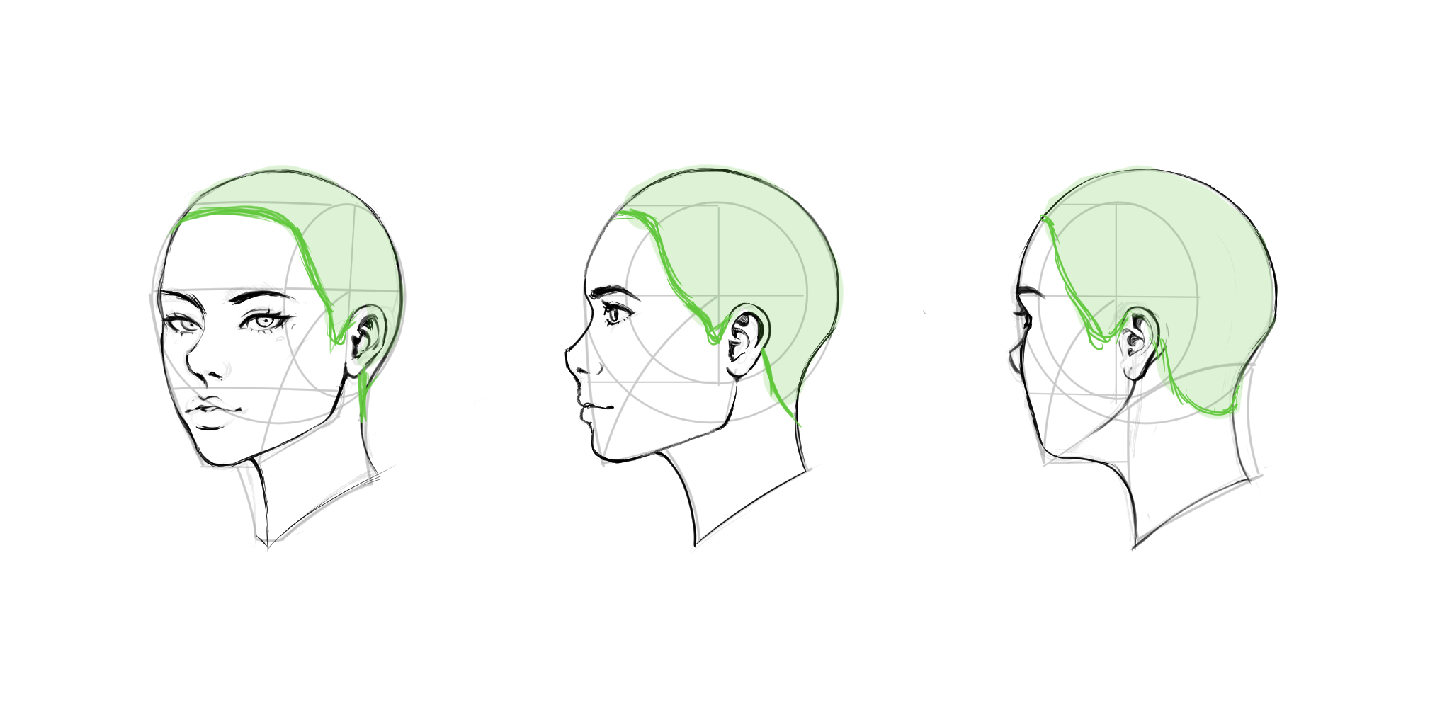 髪を描く基本 By Tesscatt Clip Studio Tips