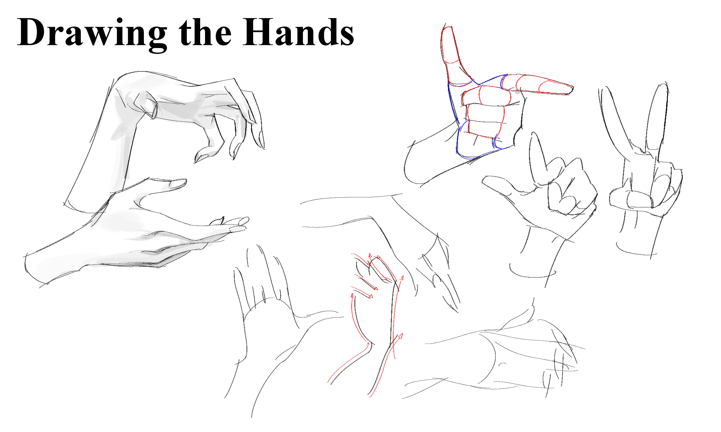  HOW TO DRAW ANIME HANDS STEP BY STEP: The step-by-step