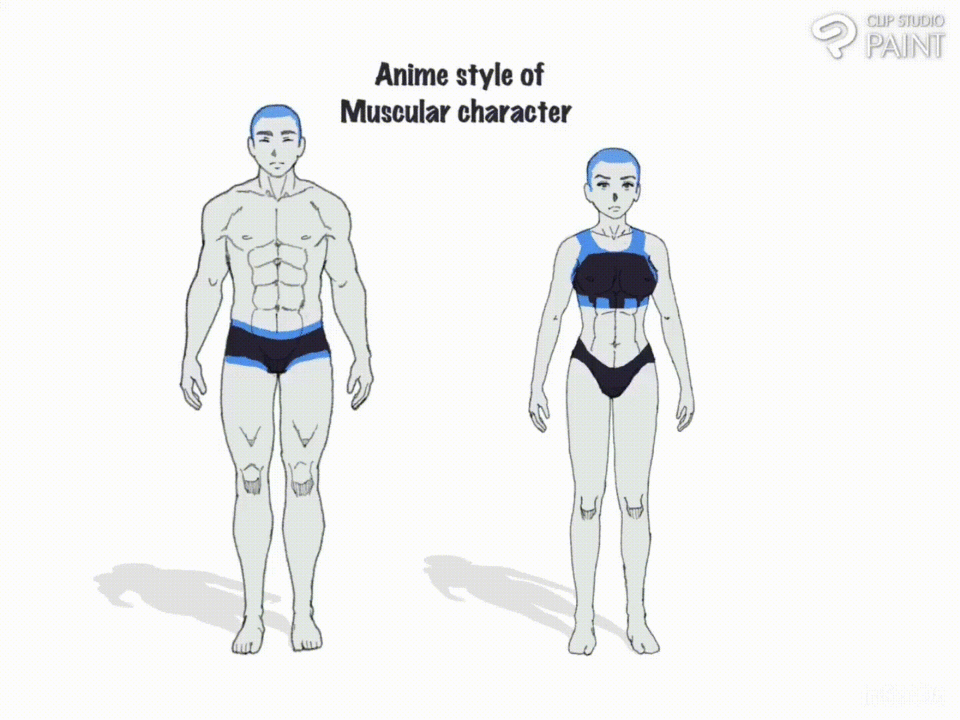 筋肉質なキャラクター作成に役立つ簡単な学習 by Adöva_rt
