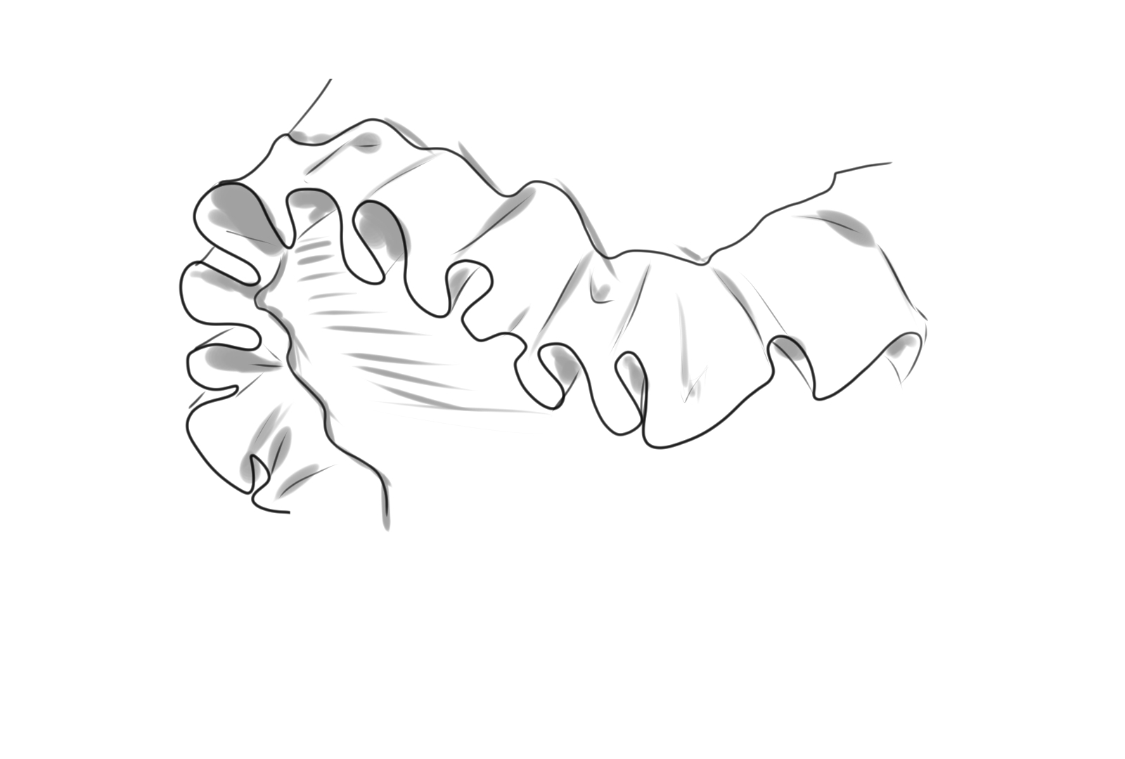 How To Draw A Frill