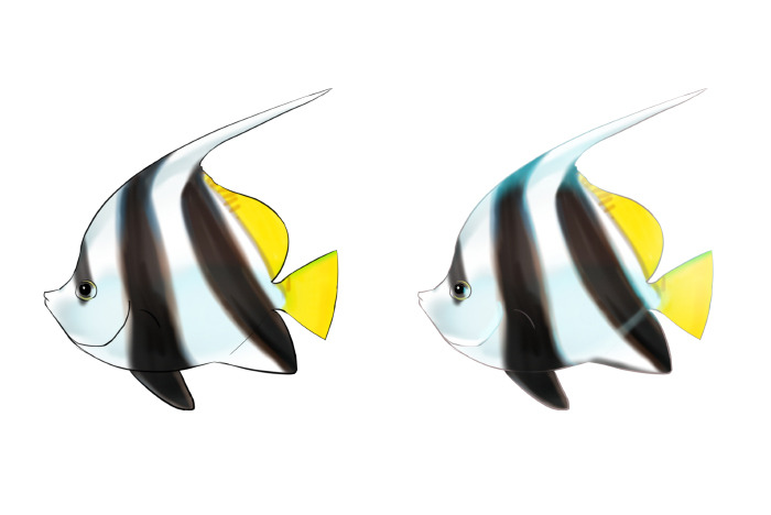 絵画魚のコンセプト：3種類の熱帯魚 by Nelviy - お絵かきのコツ