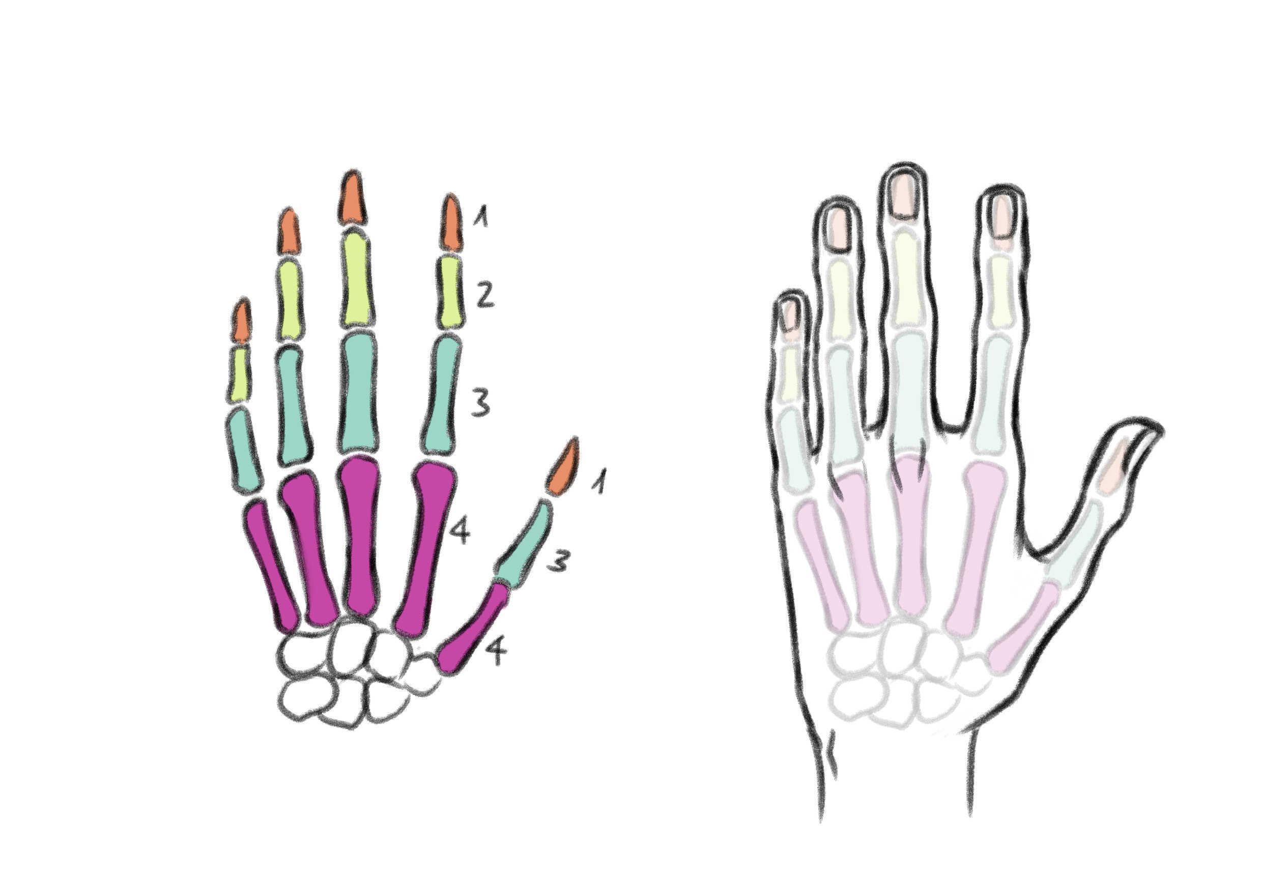 Hand Gestures with sketch and 3D models by Nadia - Make better art