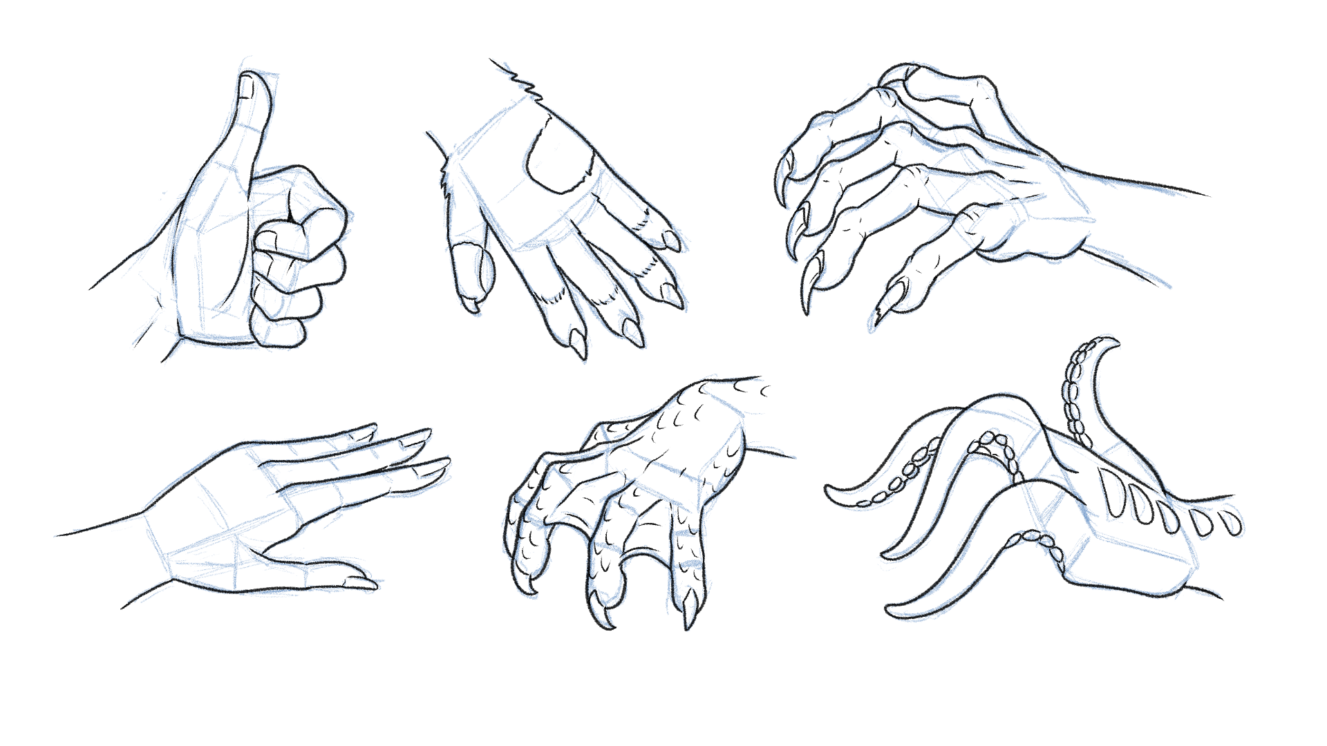 How to draw hands art tutorial (basic version)