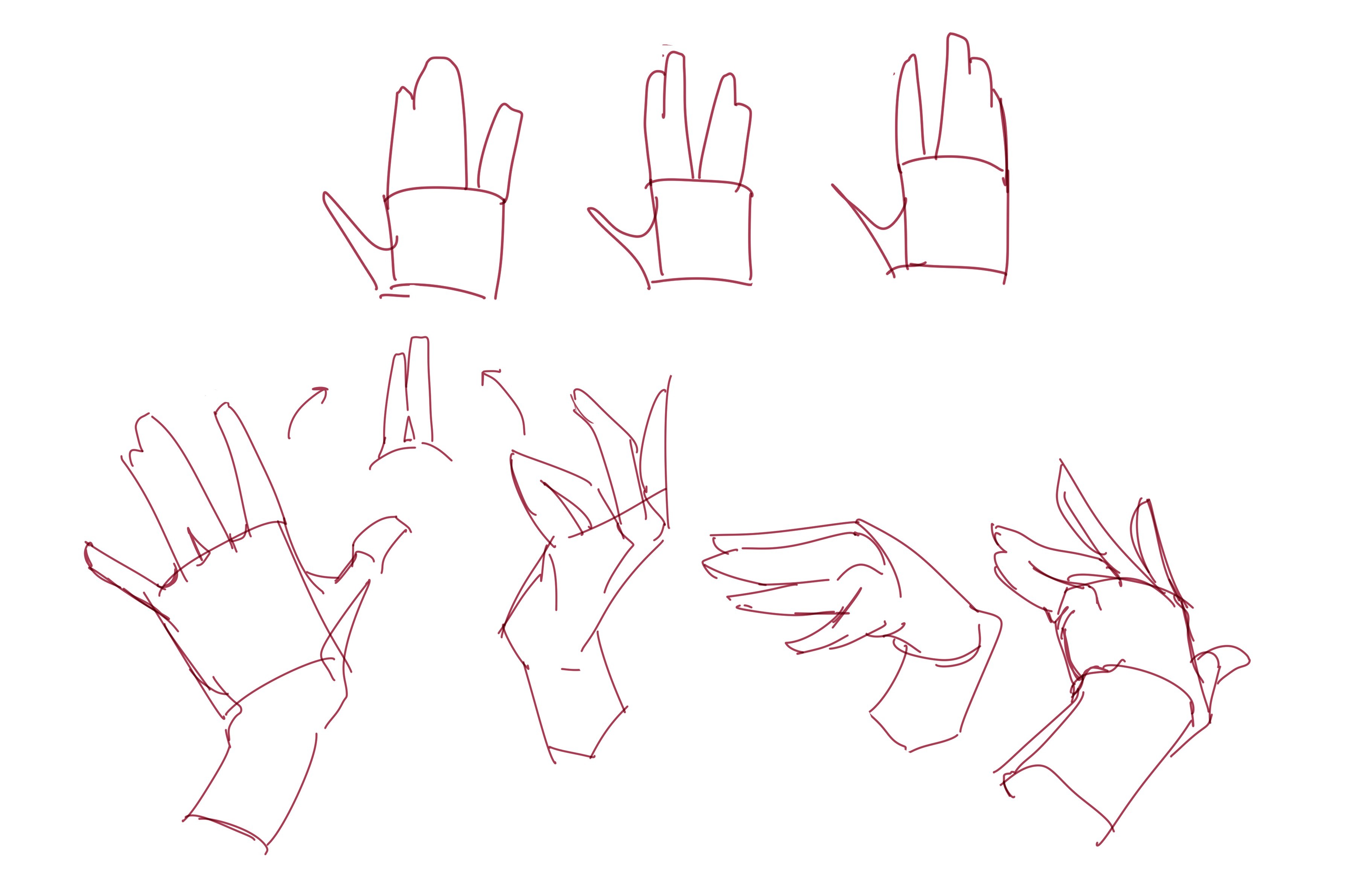 Hand Gestures And Simplifying The Hand Anatomy How To Draw By Leriisa 1 By Leriisa Clip Studio Tips