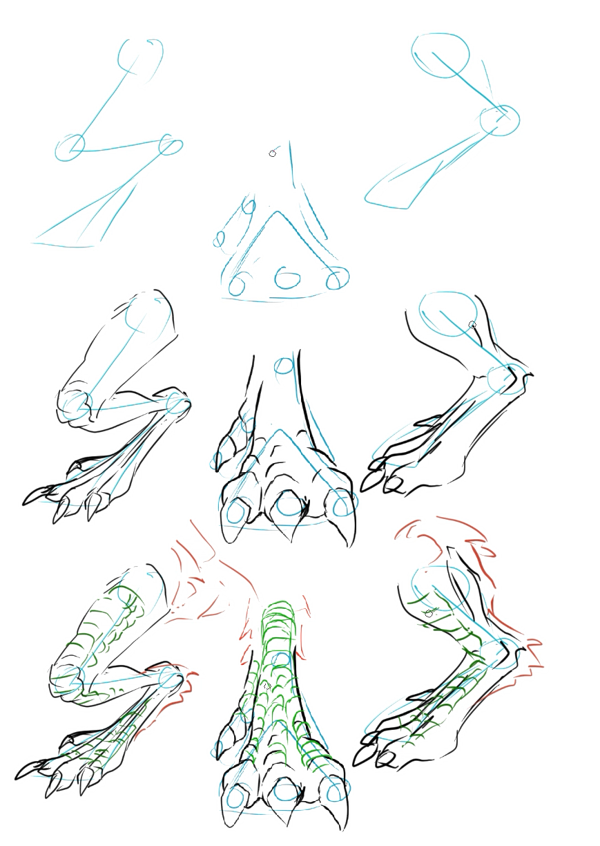 How To Draw Dragon Legs