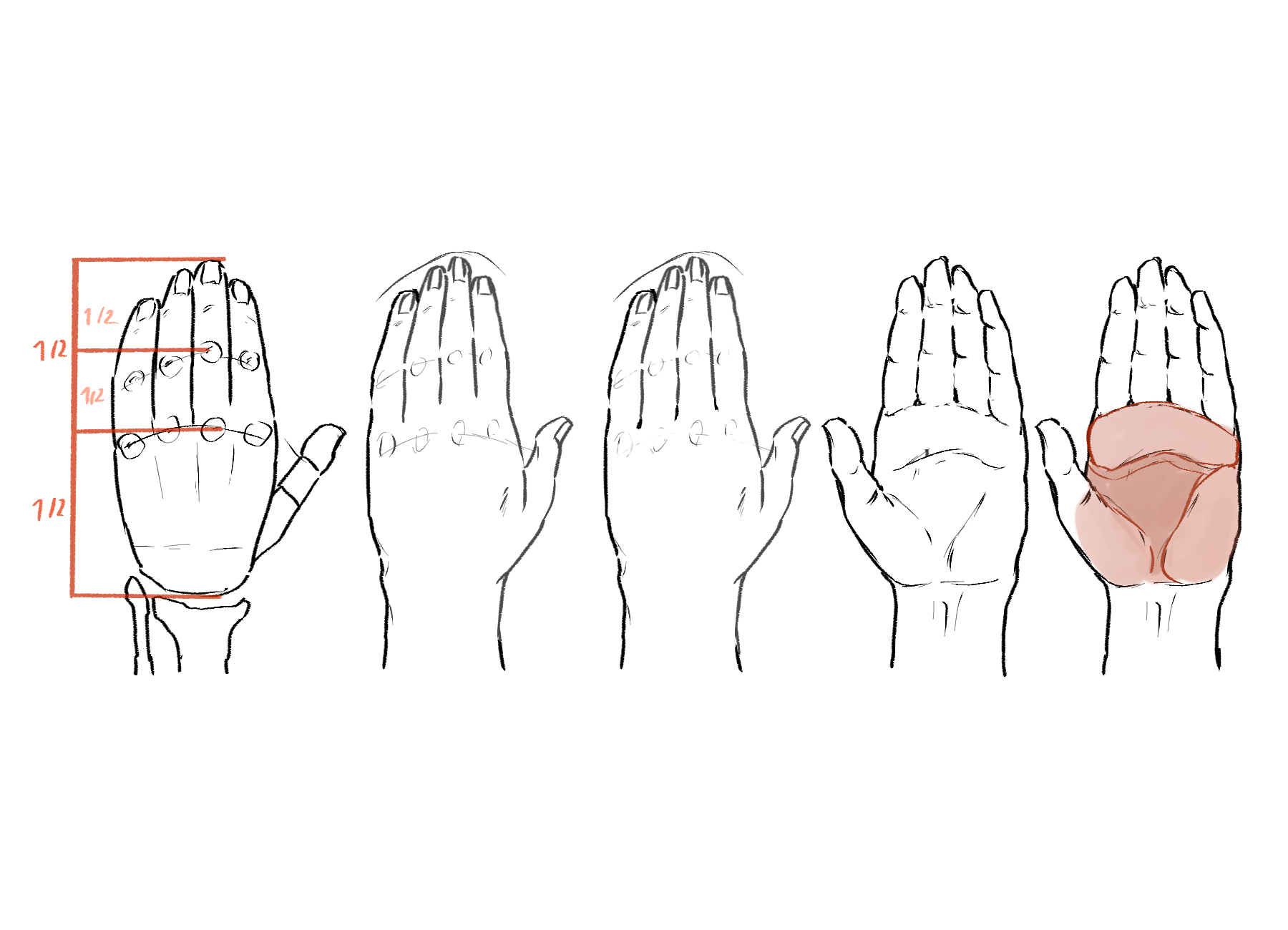 Easy]How to draw wrists - structure of their joints 