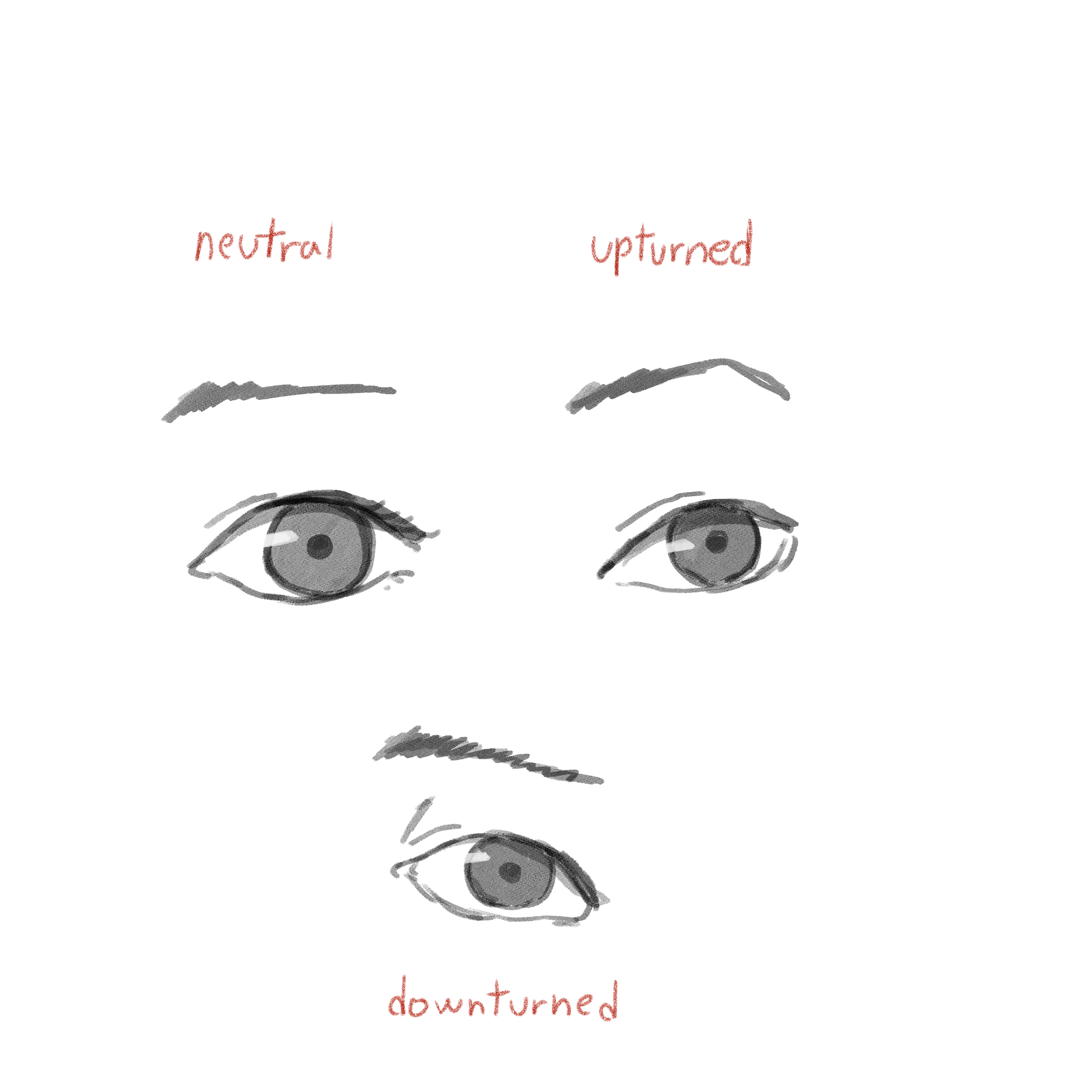 yeux de l anatomie a emotion du realisme au dessin anime et plus encore par toinstaa clip studio tips color by number feuilles calcul anglais