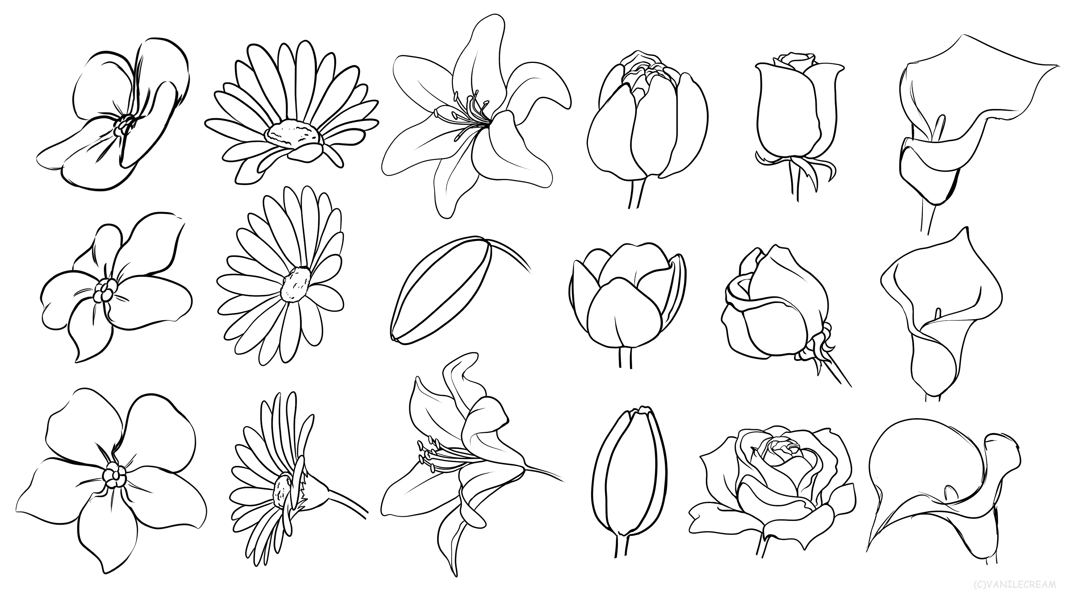 How To Draw Different Flowers » Dirttransfer