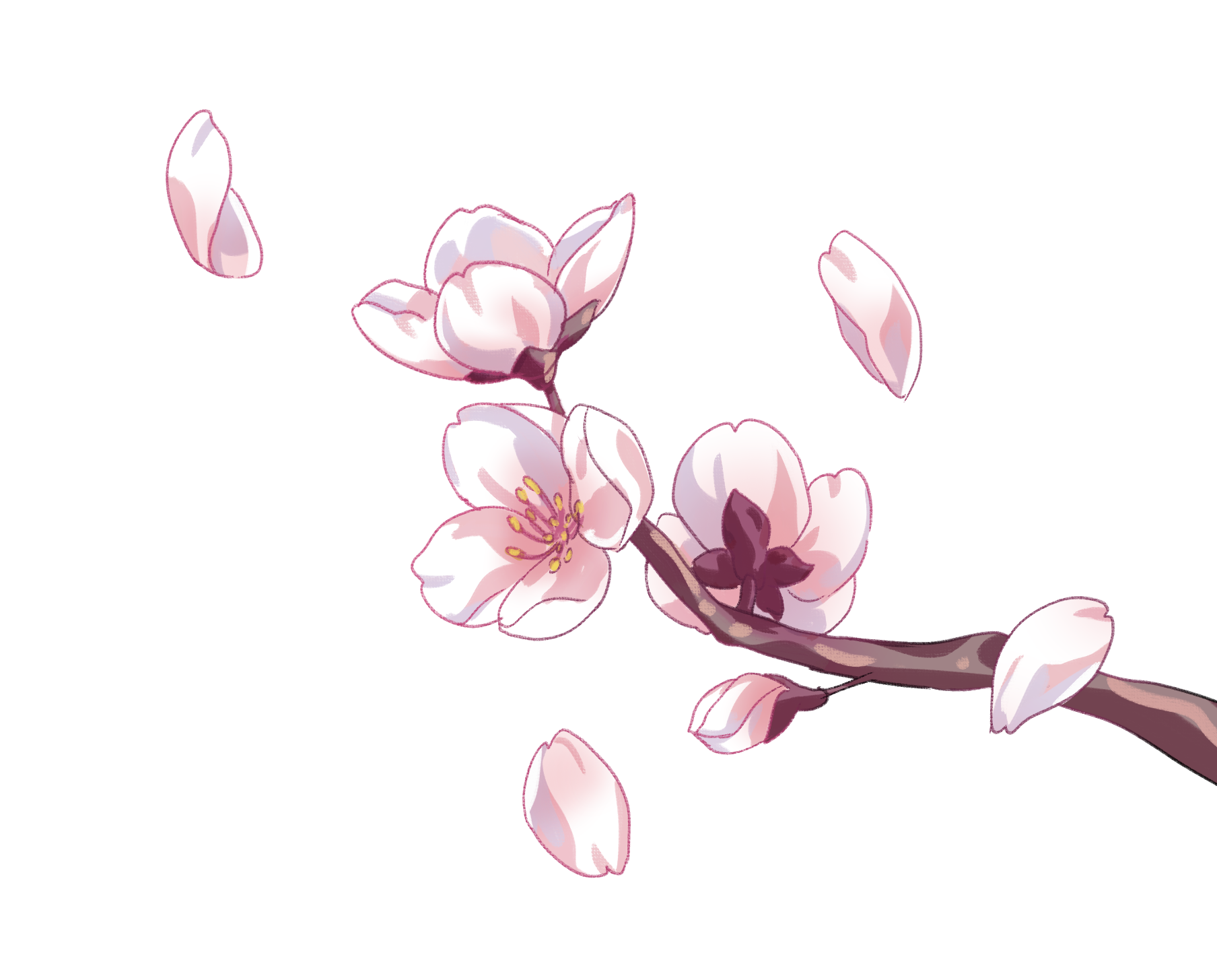 花を描く3つの異なるテクニックを学びましょう By Steffystyle Clip Studio Tips