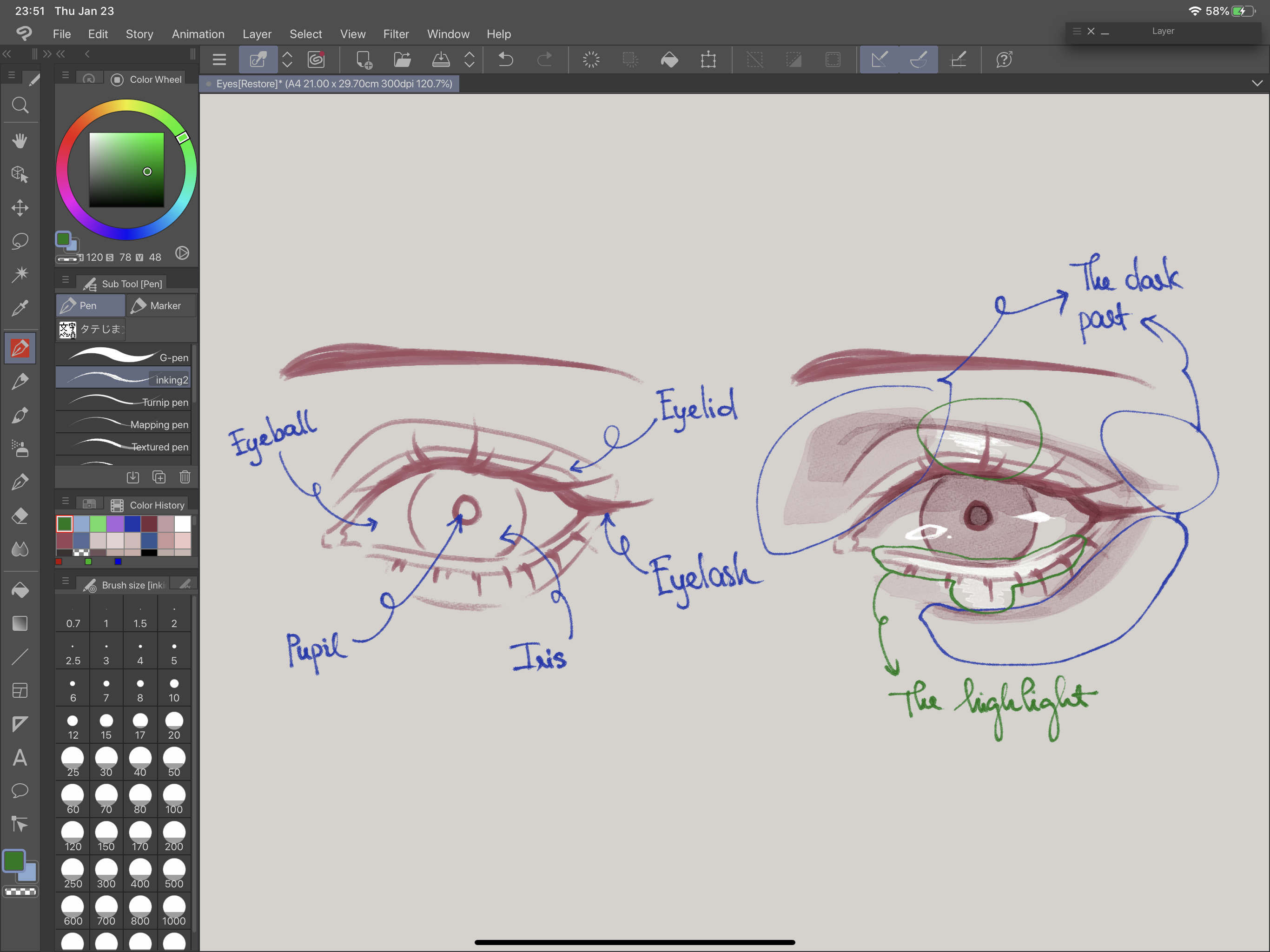 All About Eyes キャラクターデザインで目を引く インクチュートリアル 2 By Tokyolondon Clip Studio Tips