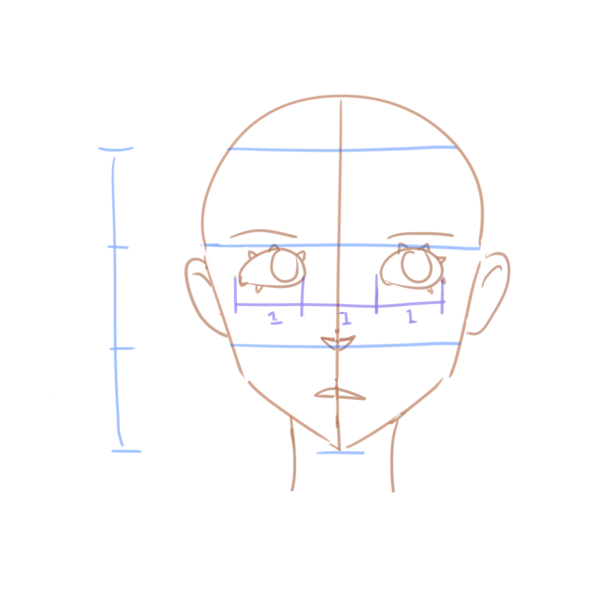 anime head shape tutorial