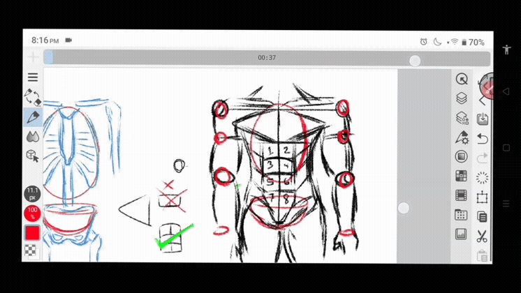 Muscle Tissue Drawing Easy With Pencil