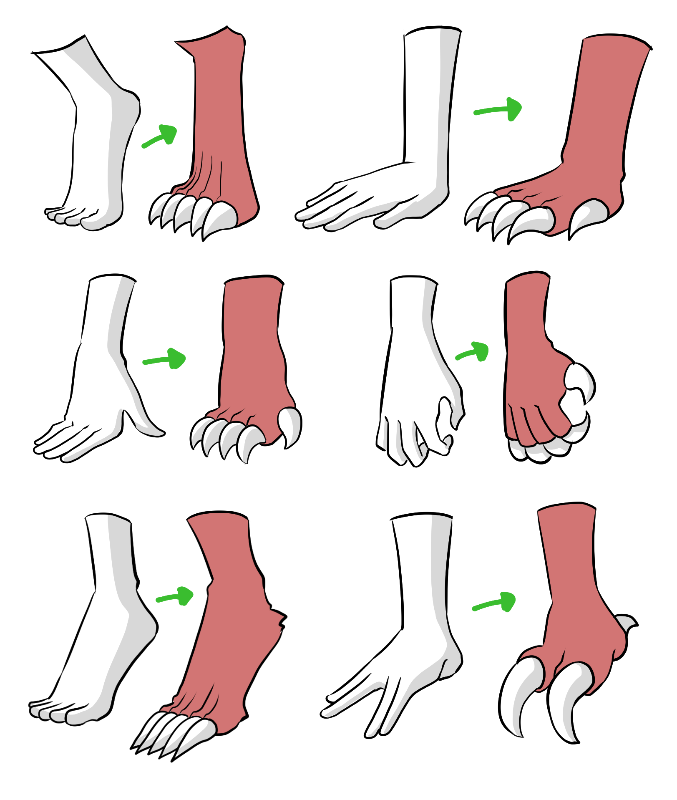 Exemplary Info About How To Draw Dragons Feet Settingprint